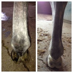 Before (left) and after (right) using Draper Recovery Wraps